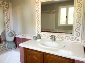 Large estate with authentic Provencal villa - Image 3