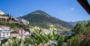 Haus am Hang Douro Valley - Image 4