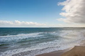 Beach Belle Queenscliff - Walk Everywhere - Wifi gratuito e Netflix - Image 3