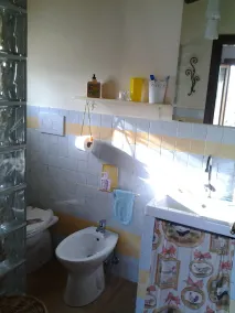 Steinhaus: Der Hühnerstall zwischen den Olivenbäumen - Image 3