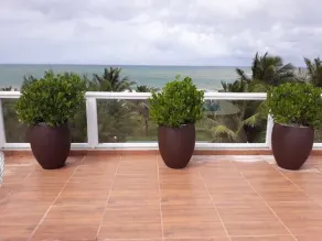 House with 13 suites, beachfront, spacious living rooms, 2 swimming pools, 2 gourmet areas. - Image 4