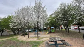 Melbourne Inner City Holiday Home Near CBD & Flemington - Image 4