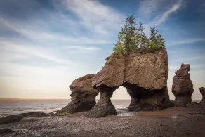 Views, near famous attractions Fundy's Lost Lobster Apartment - Image 4