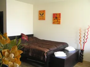Bansko Studio Lägenhet (sovplatser för upp till 4 personer) mittemot Main Gondol skidlift - Image 3
