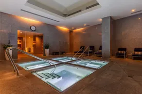 Aria Sky Suites - Image 4