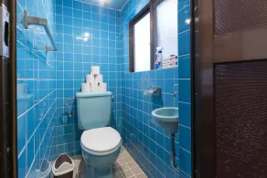 Naha Tomarin House - Image 3