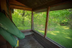 Haustierfreundliche Hütte auf den Wiesen am Waldrand mit großen Fenstern - Image 3