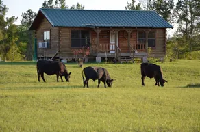 Log Cabin With 2-Acre Pond - Image 5
