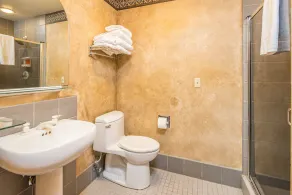 Shoshone Ski-In/Out w/ amazing views, community hot tub/pool/fitness center & fireplace! - Image 3