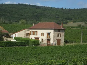 Les Cornillaux - Leynes - Image 4