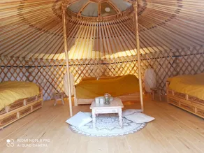 An unusual night in a yurt - Image 2