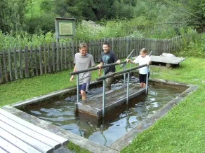 Faldvind 1 - Gratzhof - Kals - Image 2