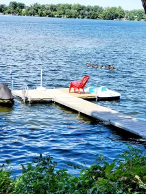 Entire lakeside cottage with 6 person hot tub - Image 5
