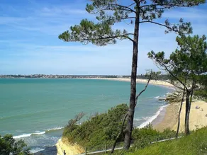 Villa tout confort DIRECT PLAGE, pour les amoureux de la nature... - Image 5