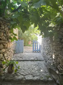 La Petite Figuière ,Des Lille nus mes figentraeet - Image 4