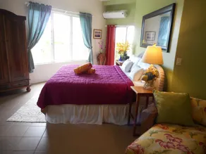 Couples Retreat, King Bed, Wi-Fi, Cable TV, A/C, Close to Cruz Bay - Image 5