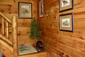 \"Wildwood in the Pines\" - Unique Adirondack Log Cabin - High Peaks - Image 2