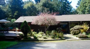 Beautiful Home in the Heart of the Majestic Redwoods.  Secluded on 10 acres. - Image 3