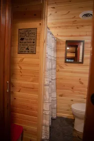 Mercer, WI Beautiful Flambeau Flowage Cabin - Image 4