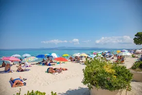 Olive Grove Panorama Suites-Luxury Sea View Villas in Halkidiki - Image 5