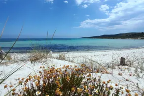 Maestrale Flat - Klodge - Image 3
