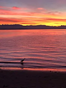 Whidbey Island Waterfront stuga! Bästa solnedgångar på västra sidan! $ 175 SPECIALS !! - Image 3