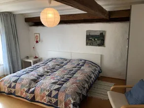 Große Ferienwohnung, wo sich nicht nur Schwalben (Hirundos) zu Hause fühlen - Image 5