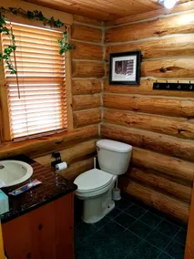 Kommen Sie nach White Birch Cabin - Image 3
