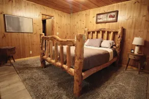 Secluded Cabin with Hot tub on spacious private lot - Image 5