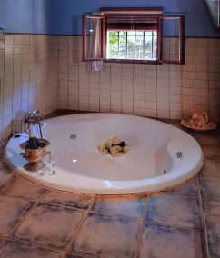 COUNTRY HOUSE WITH JACUZZI EL QUINQUÉ - Image 4