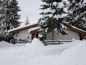 Idyllische Ferienwohnung in Königsleiten mit Sauna, zentral in Liftnähe - Image 3