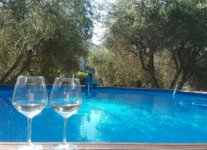 In private villa with 4000 square meters of greenery and swimming pool - Image 5