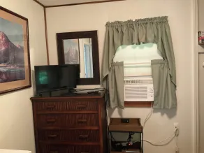 Escapade romantique Cabine très privée avec vue sur le lac Sawyer / WIFI et télévision par câble - Image 2