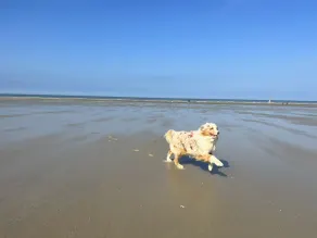 SUPERBE appartement rénové avec une vue face à la MER !☀️ - Image 2