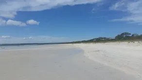 Un tranquillo rifugio sulla spiaggia con abbondante flora e fauna - Image 2