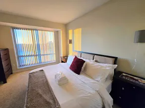 Large 1 Bedroom In West End, right by MGH, MIT, Harvard, parks... W/D in suite - Image 5