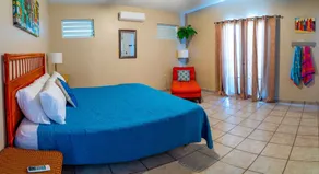 Villa Gloria - Oceanfront - 4 guests - pet friendly - at Stella, Rincón - Image 4