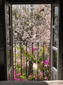 Superbe maison de village avec jardin clos privé, près de Ronda - Image 5