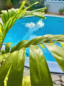 Tiaki Guesthouse: 5min drive from the beach, Prime Location near Punaauia Center - Image 3