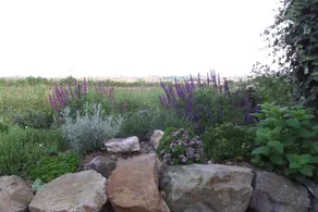Charming 1-Bed Garden Lodge in Boyndie, Banff - Image 4