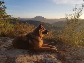 Relaxation in the Heart of Saxon Switzerland - Image 3