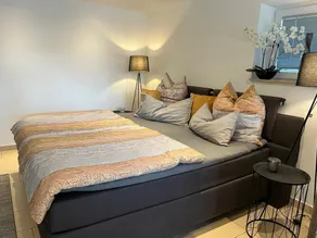 Nuevo y hermoso apartamento con jardín privado en el patio - Image 5