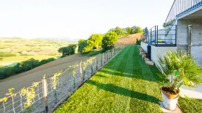 Accogliente casa di campagna con piscina a sfioro e circondata da girasoli ... - Image 5