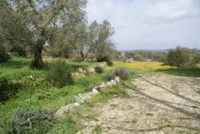 Pervinca i EUTOPIA midt i Valle d'Itria - Image 5