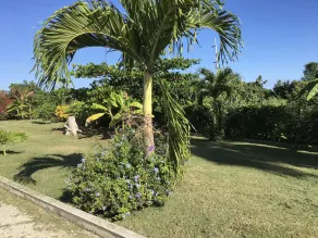 Garden Apartment, One Mile From The North Coast Beach - Image 5