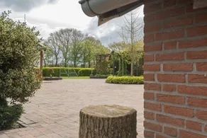Appartamento al piano terra, Birken-Allee 35181 - Appartamento Birch Alley - Image 3