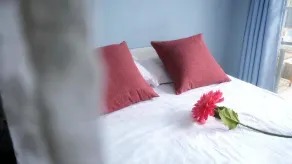 Enchanted forest hotel - Image 5