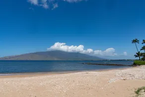 Koa Lagoon - 4 BR, Beachfront, 2 Units - Image 5