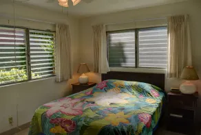 Maui pittoresque et attrayant - Image 4
