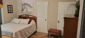 Carriage House Apt in Downtown Senoia - Image 4